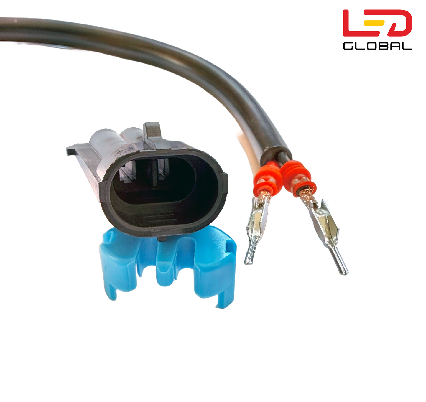 DT samice na 7024 samec - LG1632